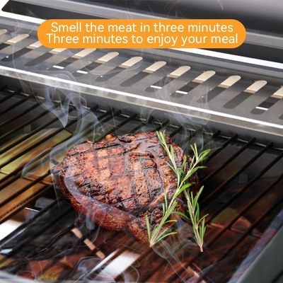 Powder Coated 2 Burners Gas BBQ Grill Propane Rotisserie Roaster Outdoor Oven